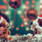 C'Est L'Hiver Par La Cie Les Oiseaux Mal Habillés