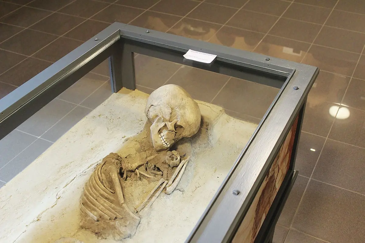 C'est la rentrée... et si on en profitait pour visiter le Musée de la Régence, au centre d'Ensisheim ?