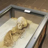 C'est la rentrée... et si on en profitait pour visiter le Musée de la Régence, au centre d'Ensisheim ? DR
