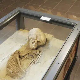C'est la rentrée... et si on en profitait pour visiter le Musée de la Régence, au centre d'Ensisheim ?