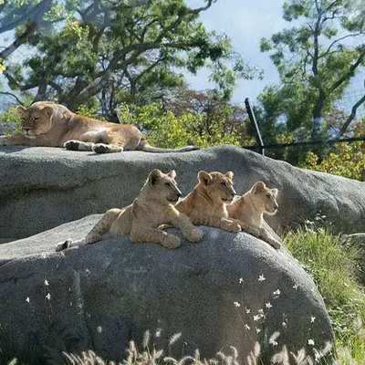7 activités en plein air pour profiter du printemps à Paris