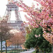 C'est le printemps : 7 activités en plein air pour profiter de la belle saison dès ce week-end à Paris