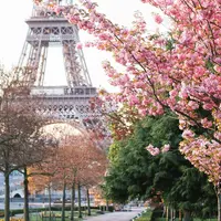 Des idées pour profiter de l'arrivée du Printemps 2026 à Paris &copy; Unsplash