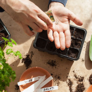 C'est le printemps ! atelier grainothèque Cambrousse