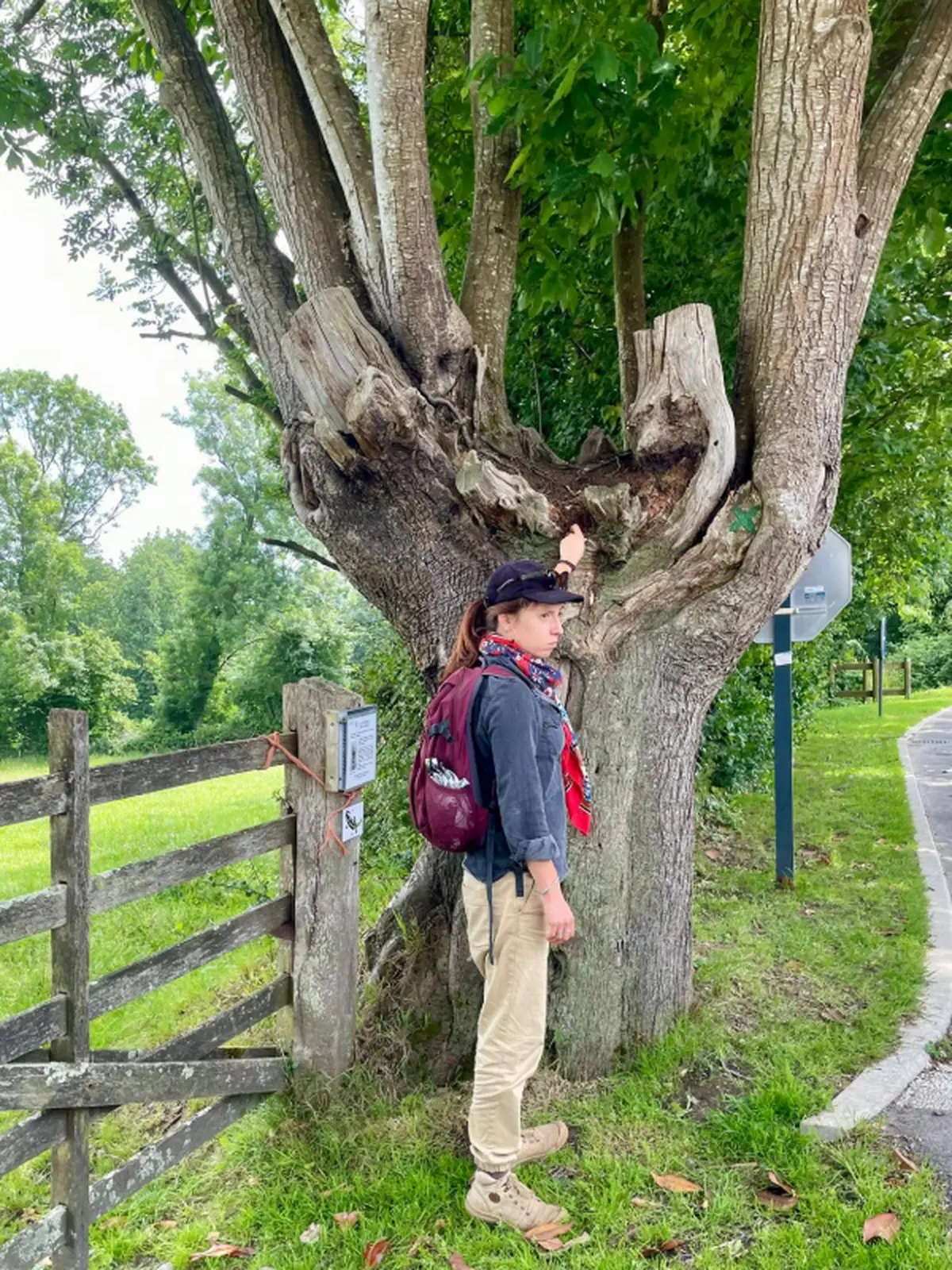 C'est quoi le bocage, maman ?