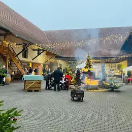 Caves de Noël au Domaine Maxime Brand