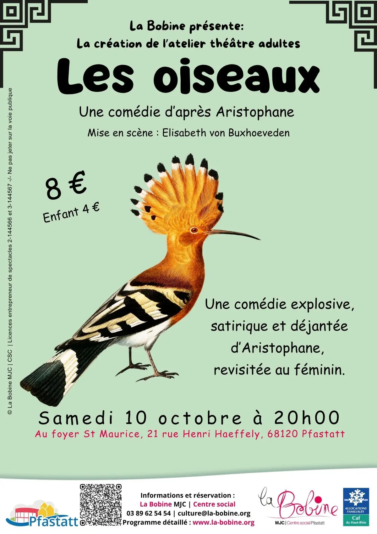 La Bobine présente: La création de l’atelier théâtre adultes Les oiseaux