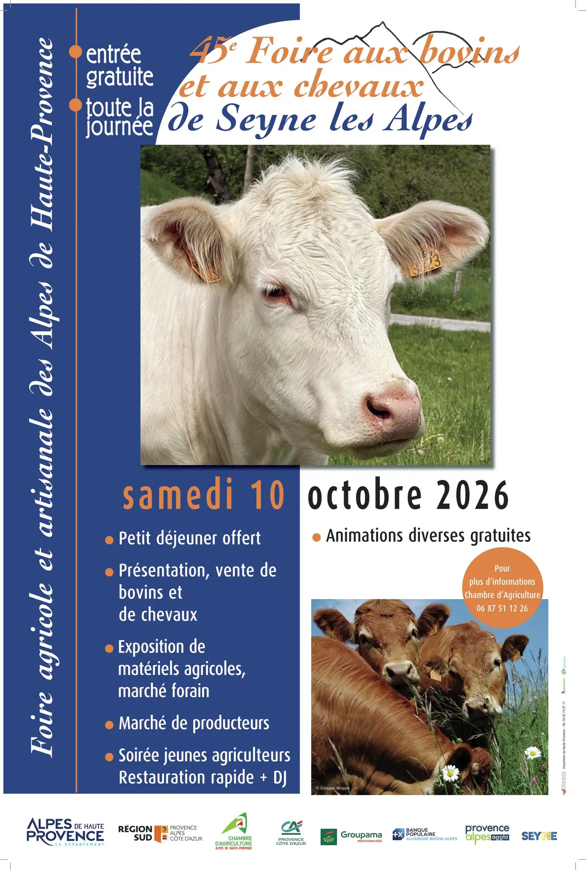 Foire aux bovins et chevaux de Seyne 