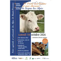 Foire aux bovins et chevaux de Seyne 