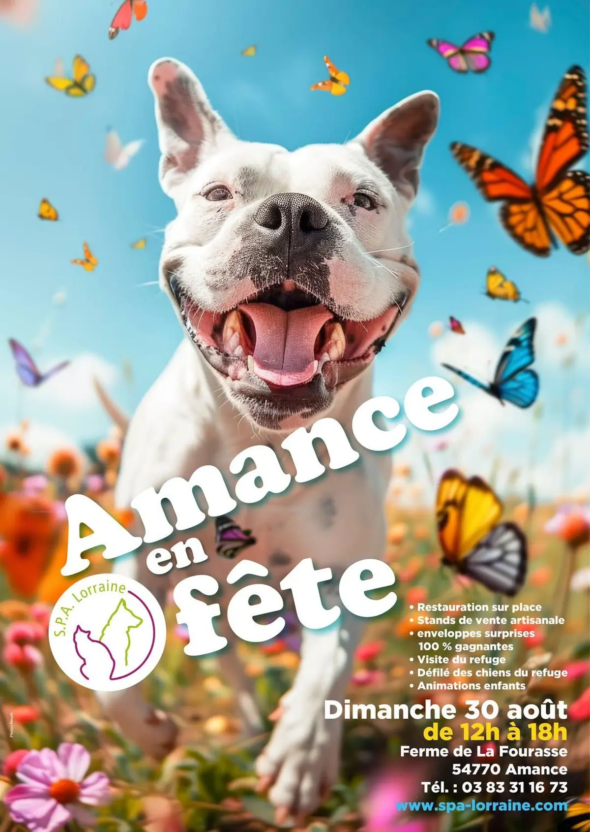 Amance en f&ecirc;te ! 