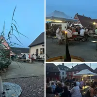 Soirée Estivale #2 - Sanglier à la broche  &copy; Manon