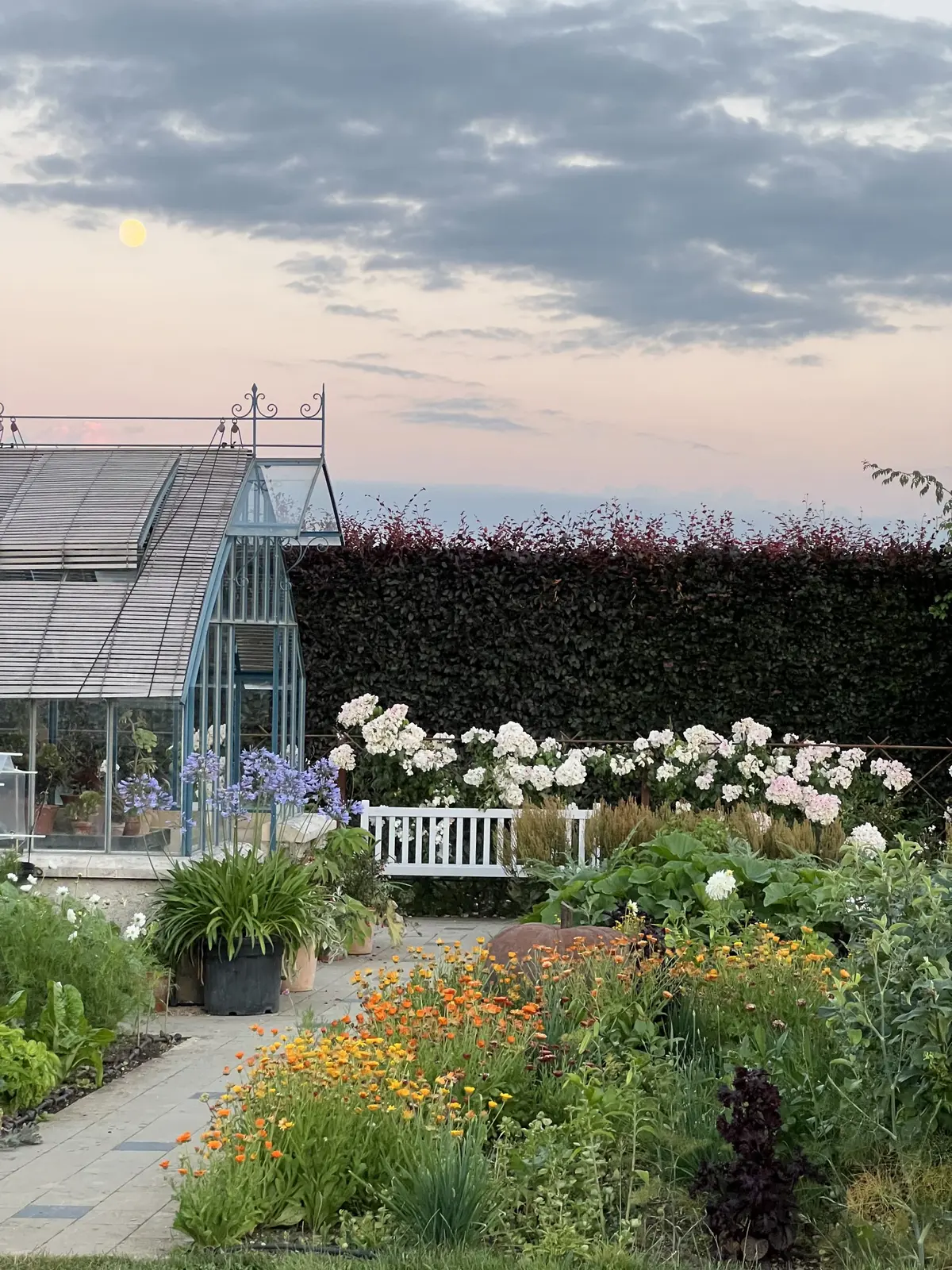 Stage : Jardin de pots