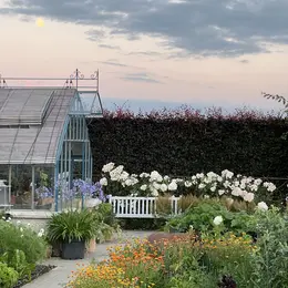 Stage : Jardin de pots