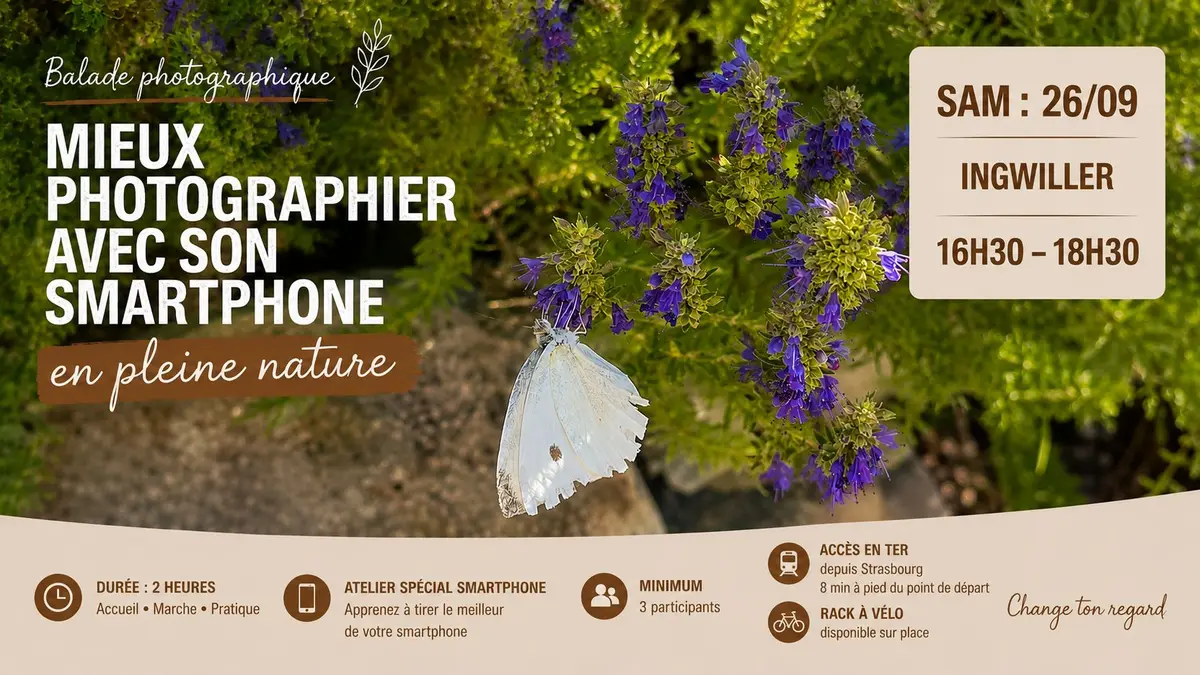 Balade photographique - Mieux photographier avec son smartphone en pleine nature