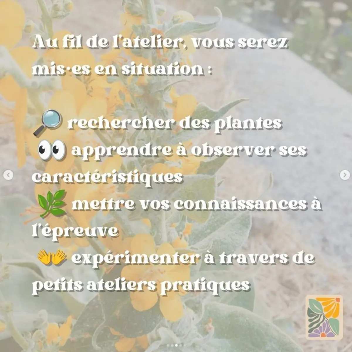 Rencontre avec le vivant