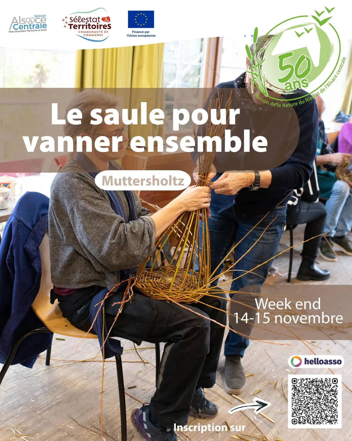 Le saule pour vanner ensemble