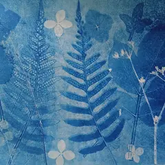 Jardins sous les étoiles