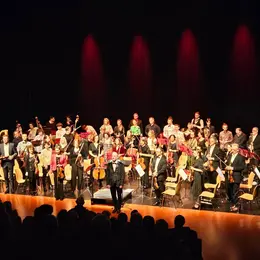 Orchestre du Collegium  Musicum de Mulhouse