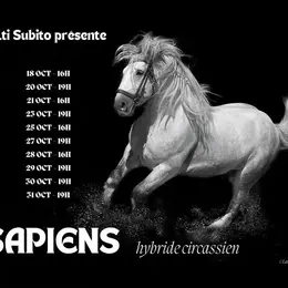 SAPIENS par Compagnie Volti Subito