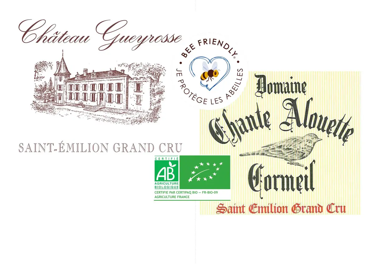 Saint Emilion visite dégustation: Un dimanche au château