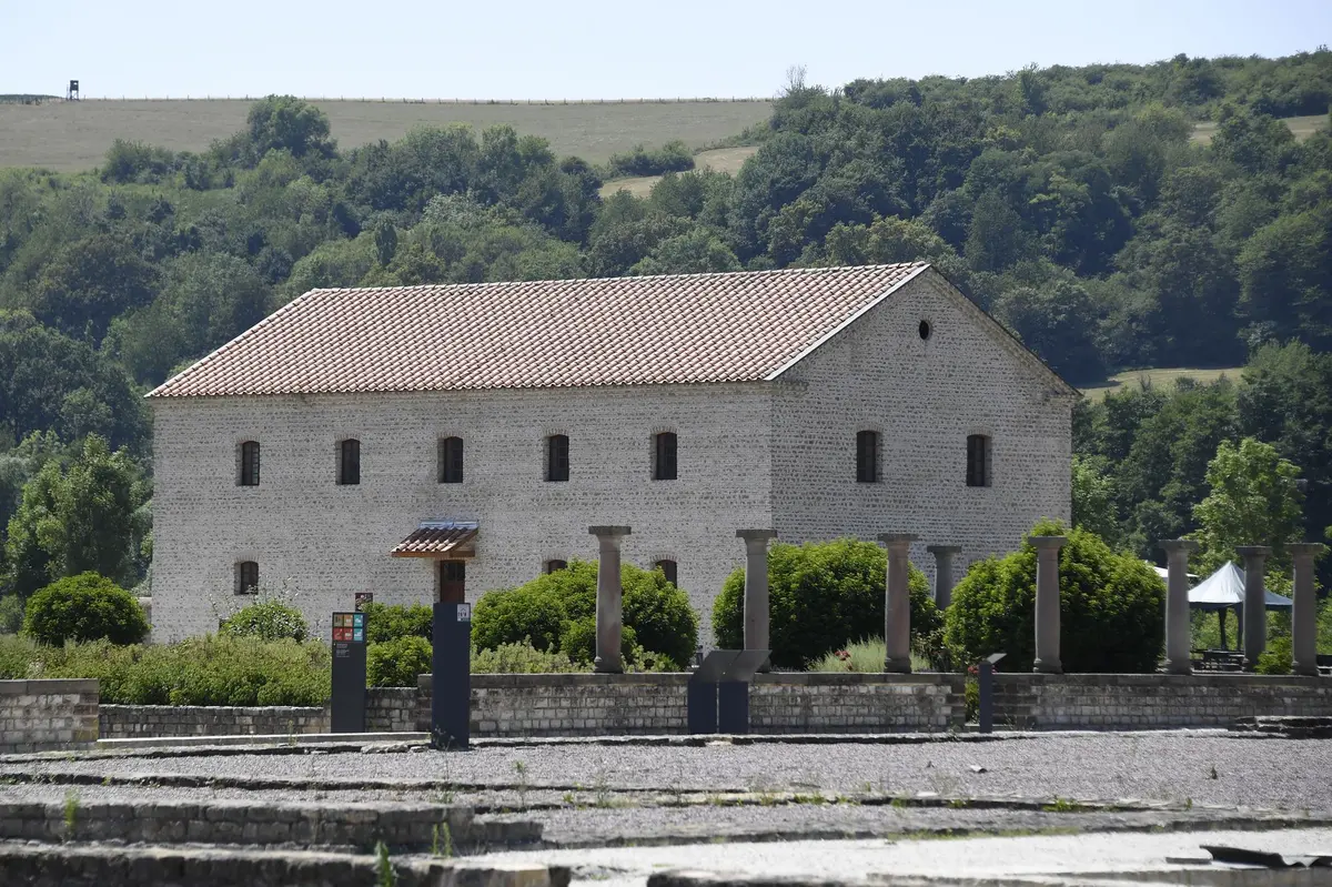 Conférence, De Néandertal aux Celtes 