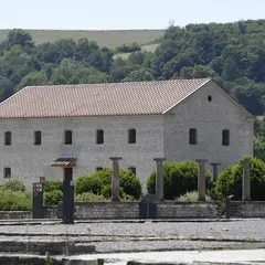 Conférence, De Néandertal aux Celtes 