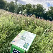 Ça bouge dans le marais !