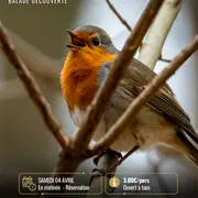 Ça chante le printemps avec la Maison de la Loire