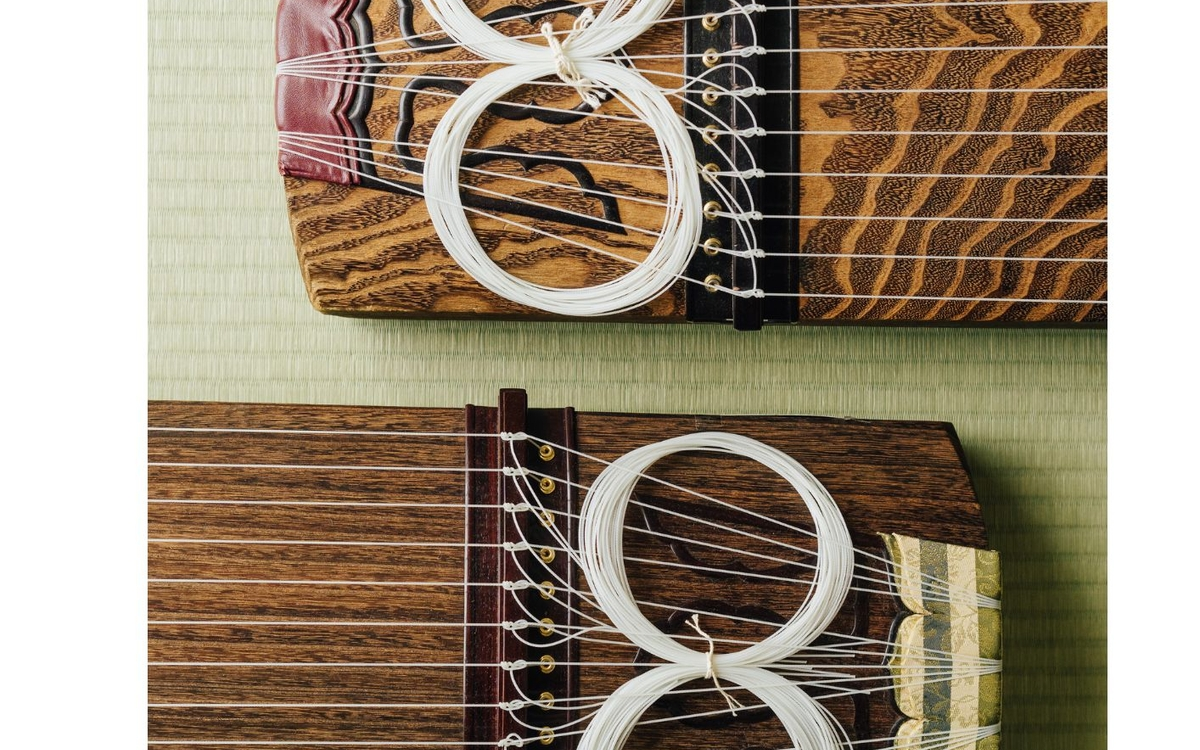 Ca'fête Musicale : les instruments à cordes