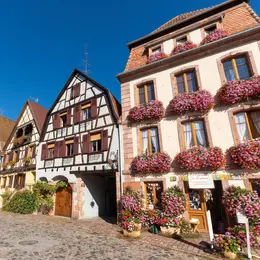 Visite découverte de Bergheim