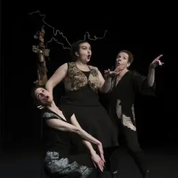 Cabaret des arbres