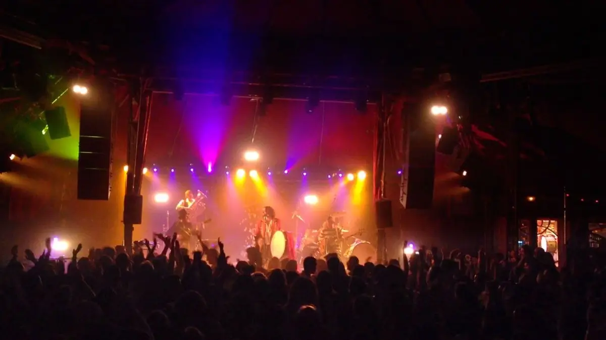 Concert au Cabaret Sauvage