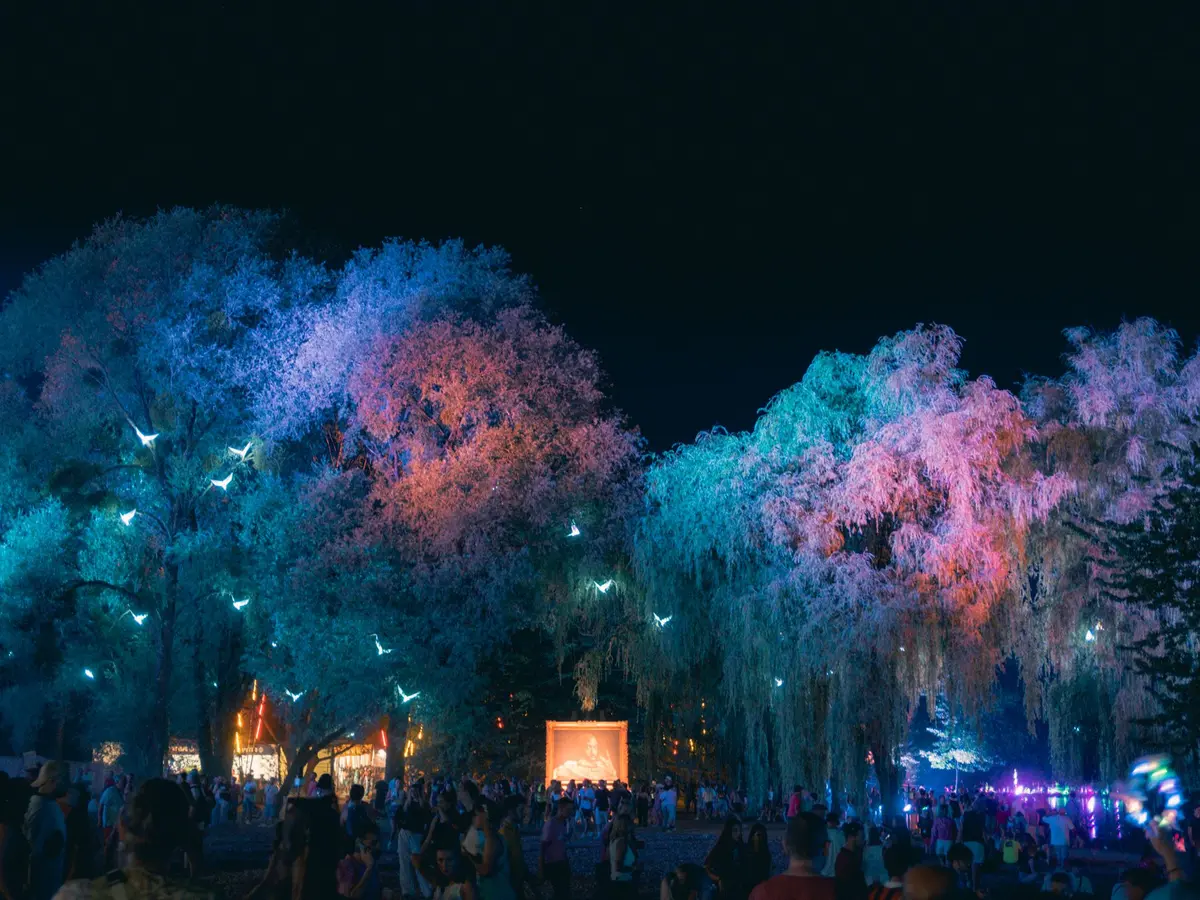 Cabaret Vert à Charleville-Mézières : la programmation 2026 pour les 20 ans du festival