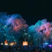 Cabaret Vert à Charleville-Mézières : la programmation 2026 pour les 20 ans du festival