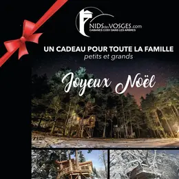 Nids des Vosges : une idée cadeau insolite pour Noël 🌲