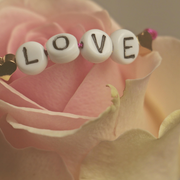 Café à l'3ndroit-Chez Fanchon | Menu de la Saint-Valentin - déjeuner & dîner