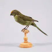 Café klatsch pavillon