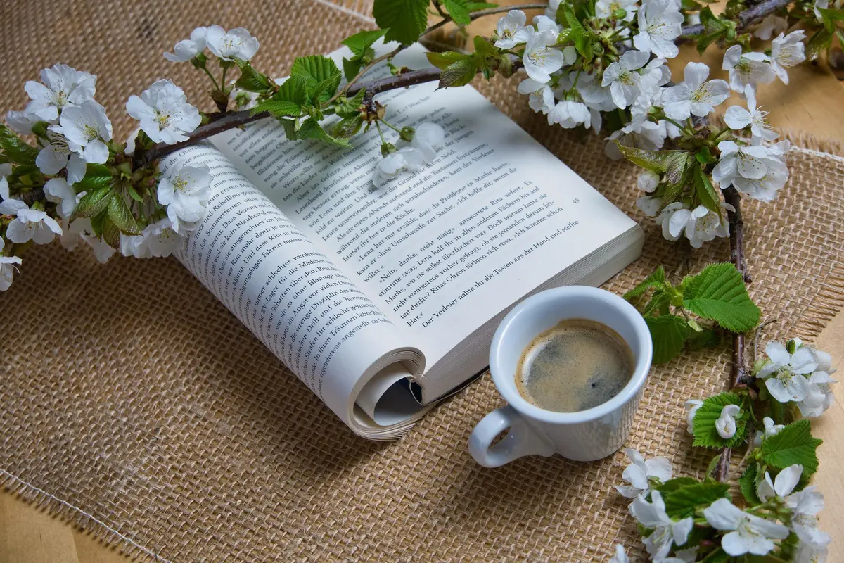 Café lecture à Cazals