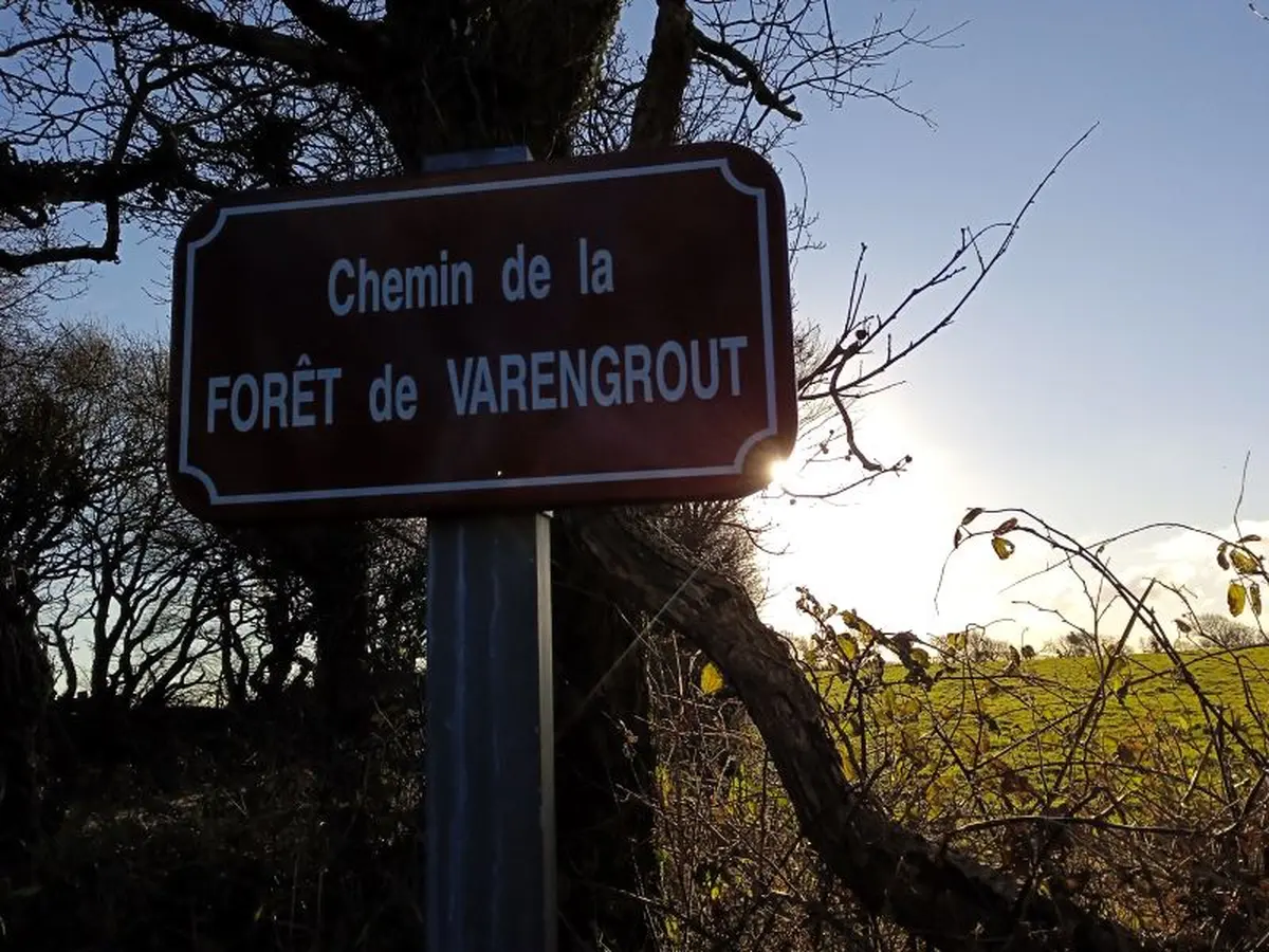 café-patrimoine : le bois de Varengrou par Véronique Gaignard