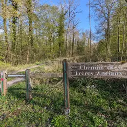 Café-rencontre à Vauclair autour de la gestion du dépérissement des chênes en forêt domaniale de Vauclair