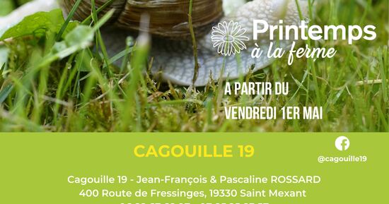 Quelles sorties &agrave; Brive-la-Gaillarde du 5 au 7 juin 2026 ? 3 id&eacute;es pour un week-end r&eacute;ussi