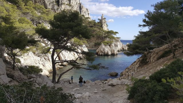 Les Calanques de Marseille, véritable paradis naturel
