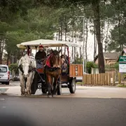 Calèche, vin chaud, atelier maquillage & goûter ● Noël 2025