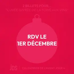 Calendrier de l’Avent JDS 2024 : Vivez un mois de surprises magiques !