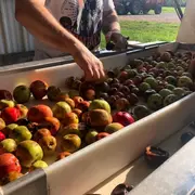 [Calvados Time] Activité récolte