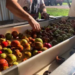 [Calvados Time] Activité récolte