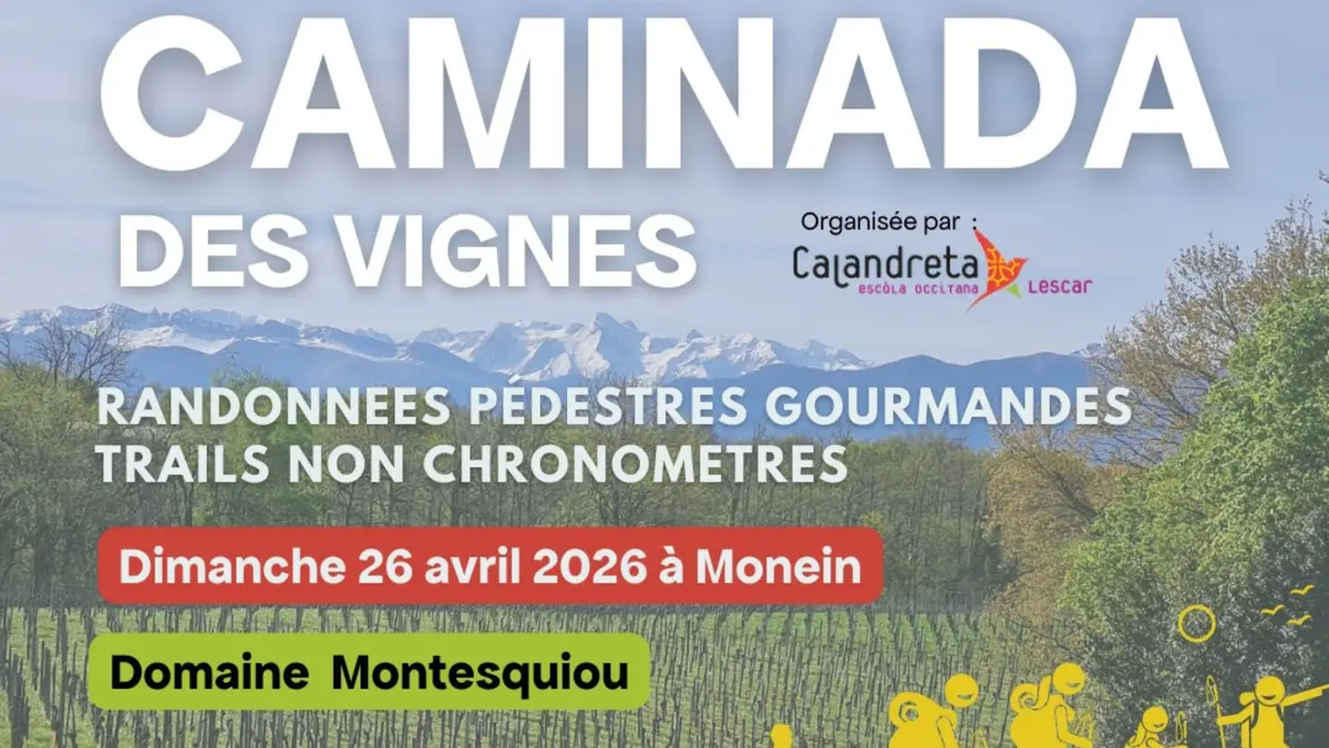 Caminada des vignes