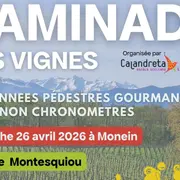 Caminada des vignes