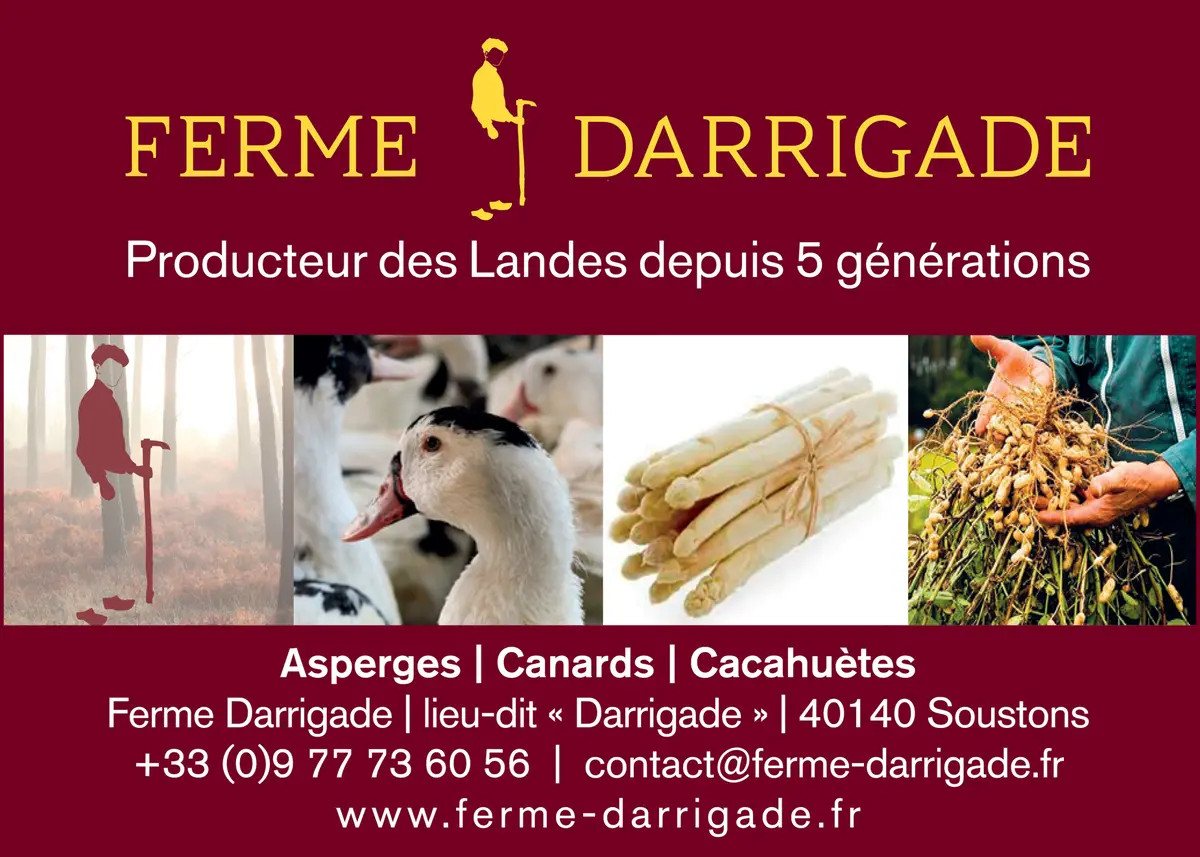 Canard, cacahuètes et asperges à la Ferme Darrigade