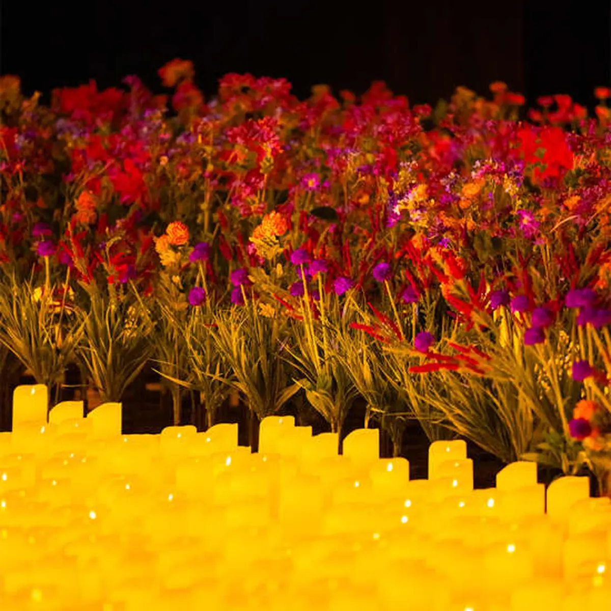 Candlelight : le meilleur de Bridgerton